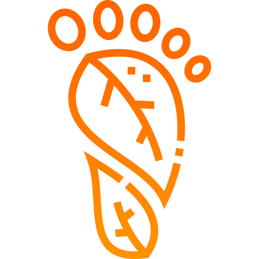 carbon-footprint (1) Carbon Footprint (1)